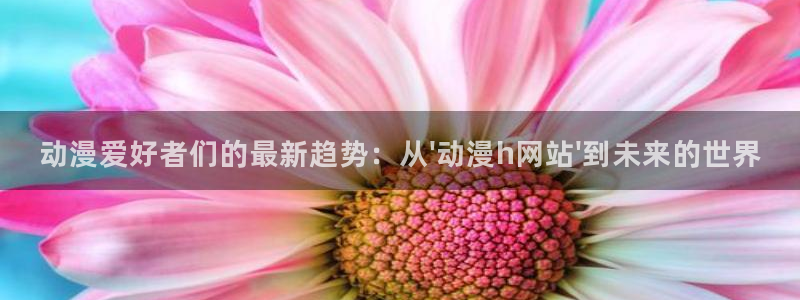 动漫天堂电影：动漫爱好者们的最新趋势：从\'动漫h网站\'到未来的世界