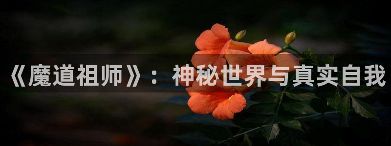 动漫天堂下载最新版：《魔道祖师》：神秘世界与真实自我