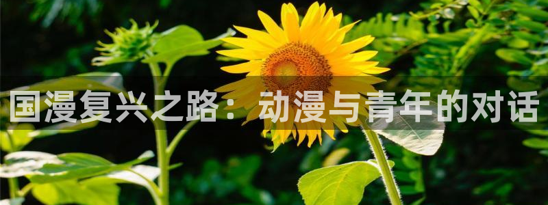 动漫天堂之吻：国漫复兴之路：动漫与青年的对话