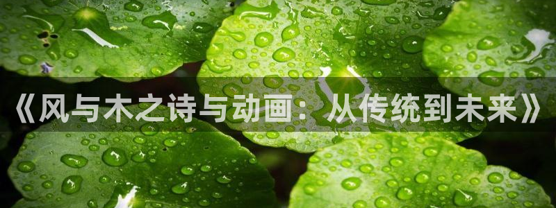 下载动漫天堂：《风与木之诗与动画：从传统到未来》