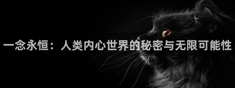 jm动漫天堂：一念永恒：人类内心世界的秘密与无限可能性