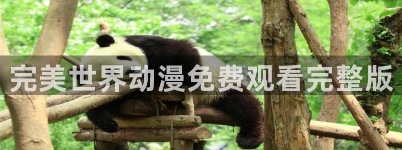 同人动漫天堂：完美世界动漫免费观看完整版