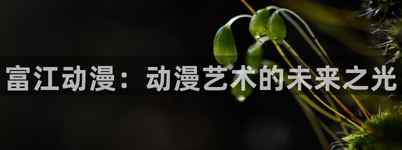 黄动漫天堂：富江动漫：动漫艺术的未来之光