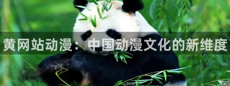 番剧推荐动漫天堂.：黄网站动漫：中国动漫文化的新维度