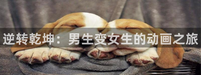 动漫天堂软件：逆转乾坤：男生变女生的动画之旅