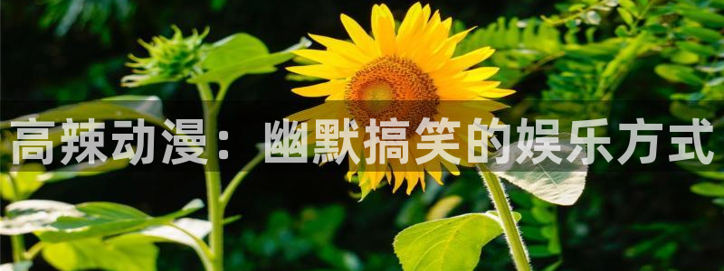 acg动漫天堂：高辣动漫：幽默搞笑的娱乐方式