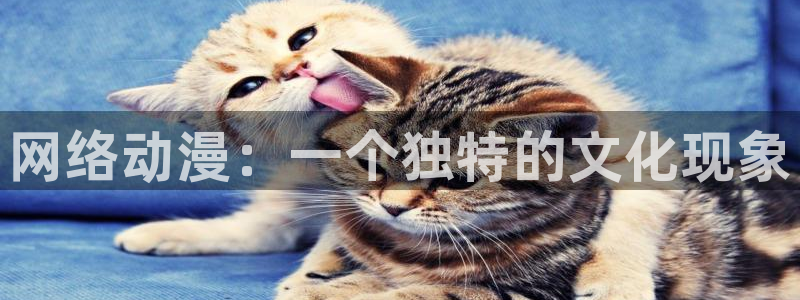 黄动漫天堂