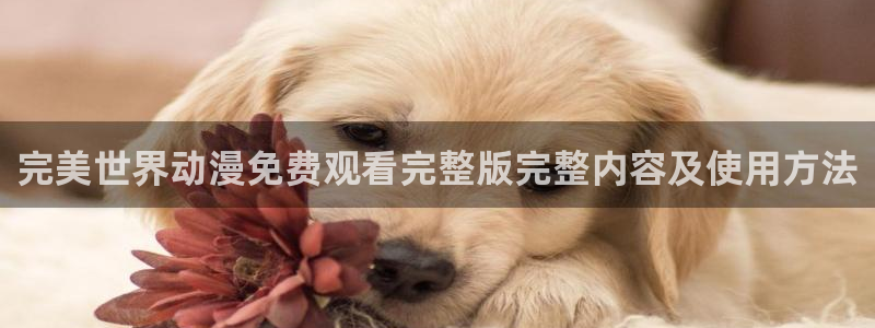 动漫天堂之吻