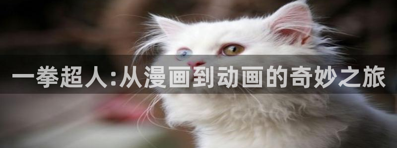 动漫天堂电影