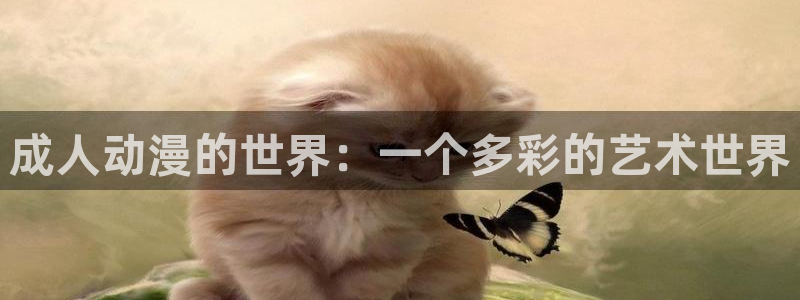 动漫天堂18