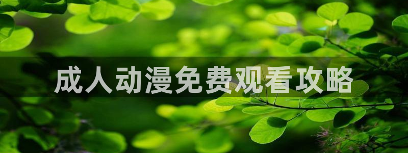 动漫天堂总站
