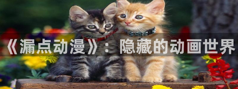 jm动漫天堂
