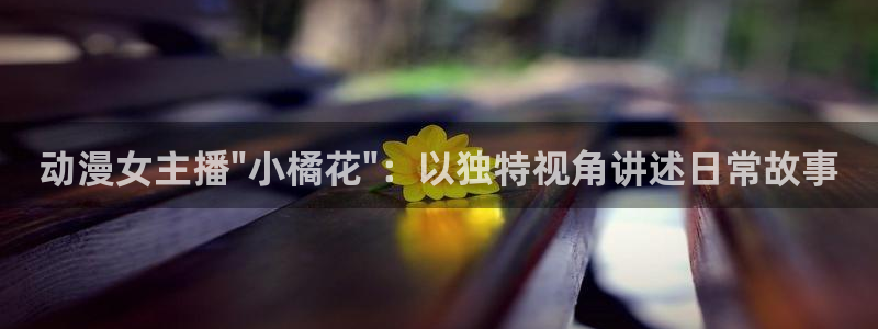 bt动漫天堂