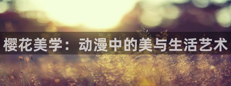 内地动漫天堂