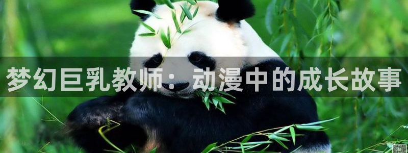 禁动漫天堂