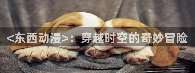 动漫天堂